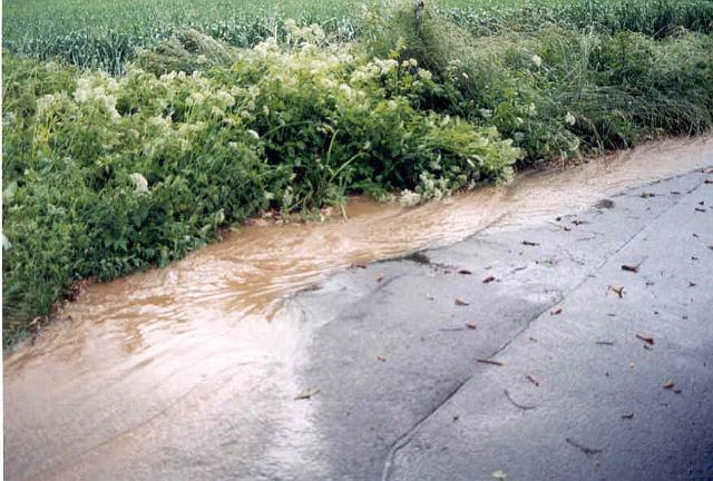 08.06.03 - 4.jpg - Rhönweg (ehemaliger Salinger Weg) im alten Verlauf